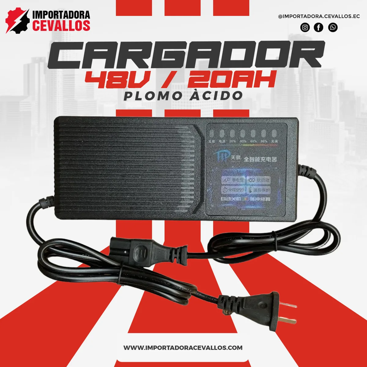 Cargador 48V 20AH para baterías de moto eléctrica plomo-ácido