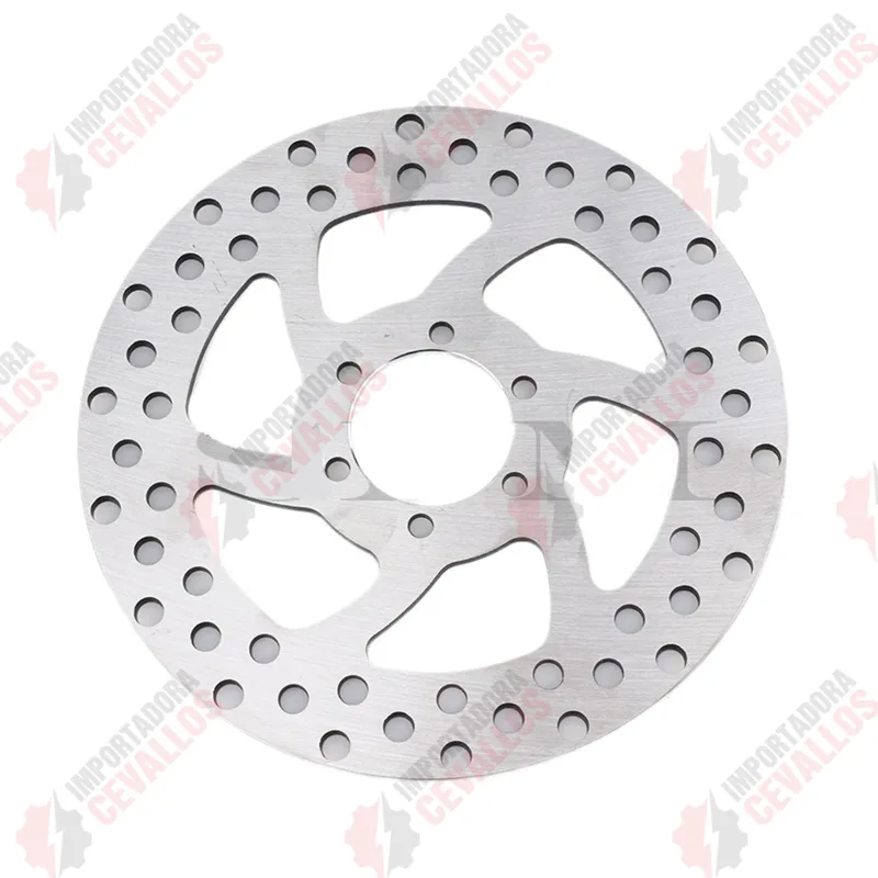 Vista frontal del disco de freno para scooter Citycoco